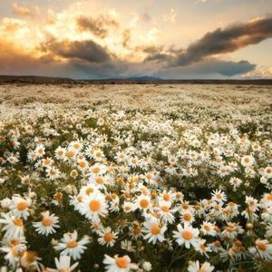 Meet your Posher, Jess